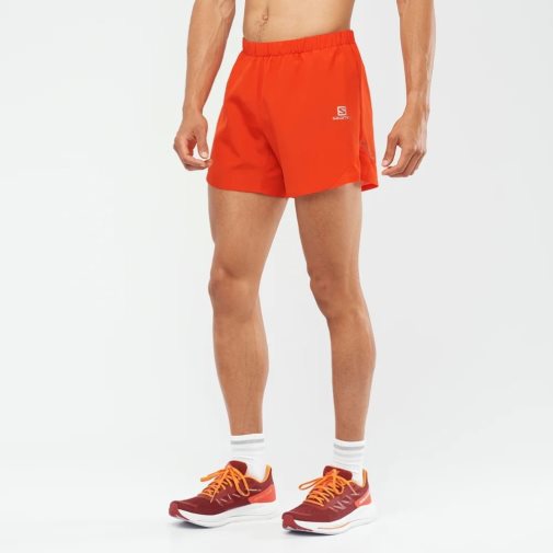 Red Salomon Cross Rebel 5'' Men's Shorts | PH 29605S